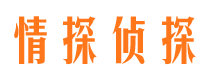 西沙市婚姻调查